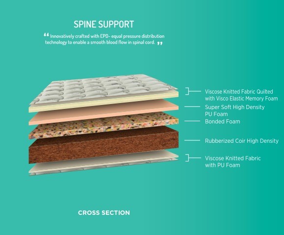 Spine support